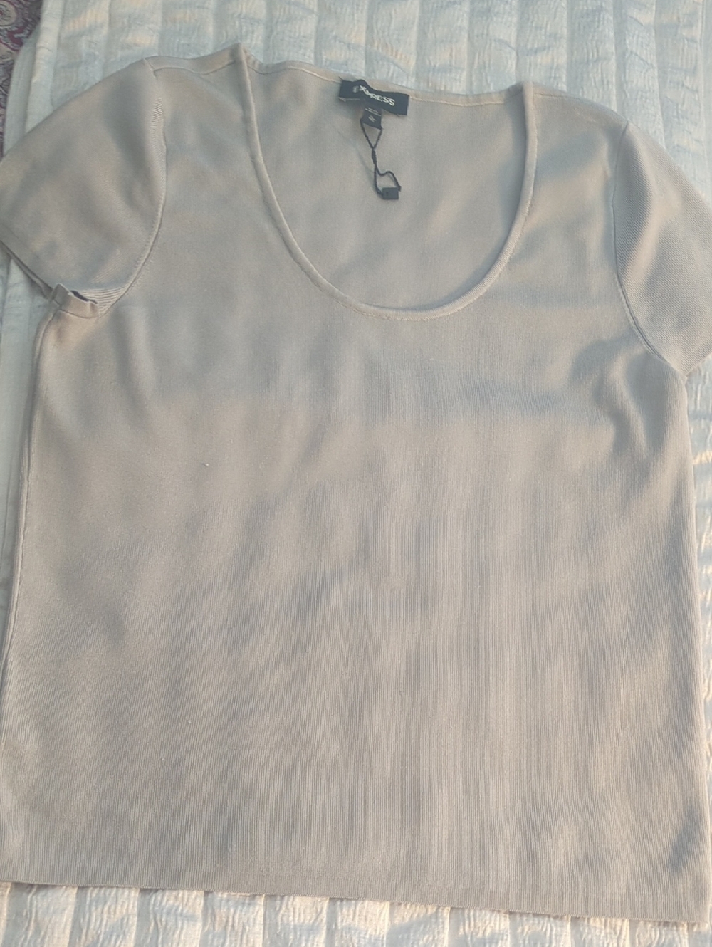 Express XL Short Sleeve Scoop Neck Knit Top in Silver